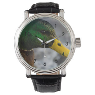 Reloj De Pulsera Retrato masculino del pato silvestre