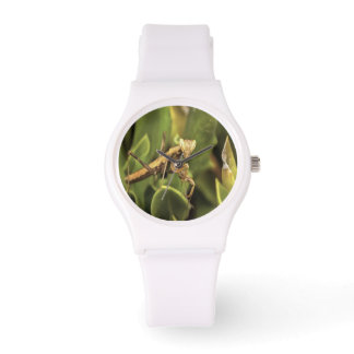 Reloj De Pulsera Rezando el arte de los insectos de retrato de Mant