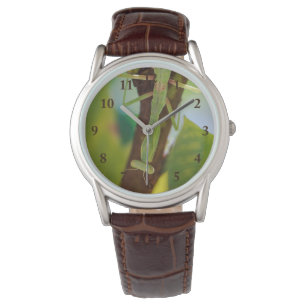 Reloj De Pulsera Rezando Mantis Leather Watch