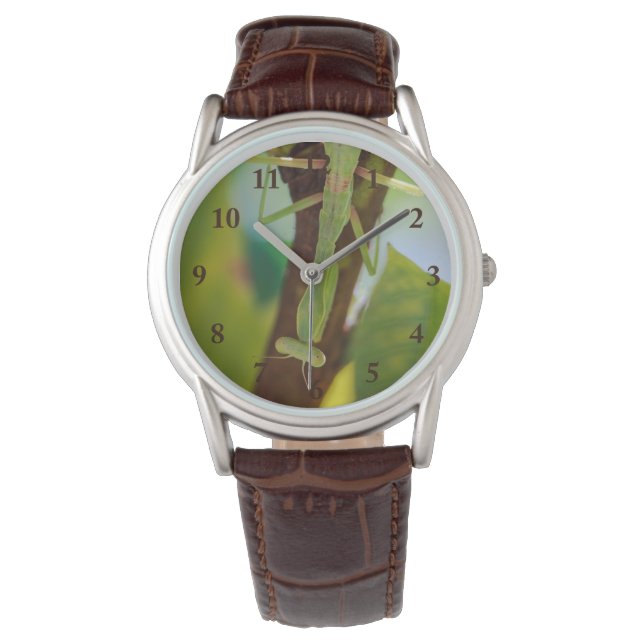 Reloj De Pulsera Rezando Mantis Leather Watch (Anverso)