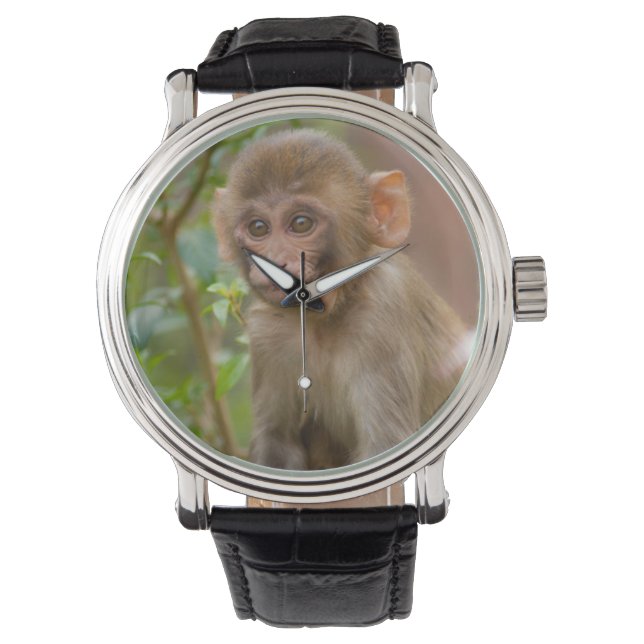 Reloj De Pulsera Rhesus Monkey Baby, Templo de Mono, Jaipur (Anverso)