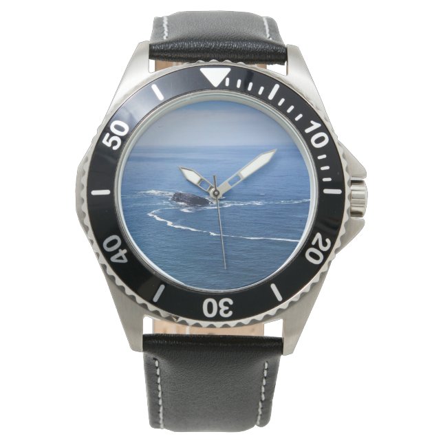 Reloj De Pulsera Roca Otter, Cabo Foulweather, Newport, Oregón (Anverso)