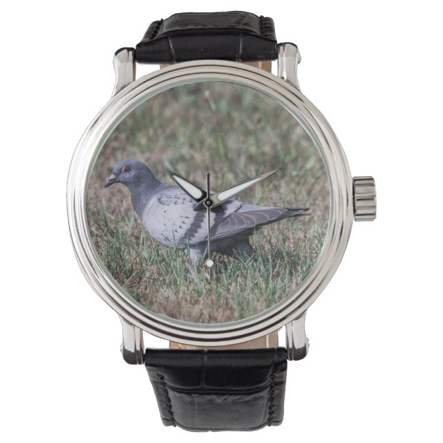 Reloj De Pulsera Rock Pigeon (Anverso)