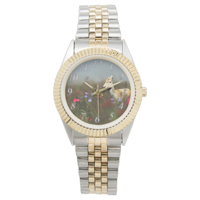 Reloj De Pulsera Roe en un observatorio de praderas (Anverso)