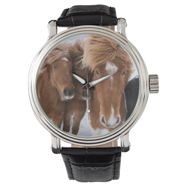 Reloj De Pulsera Rompecabezas islandesa de caballos, Islandia (Anverso)
