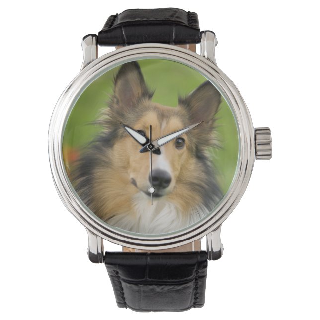 Reloj De Pulsera Rough Collie, perro (Anverso)