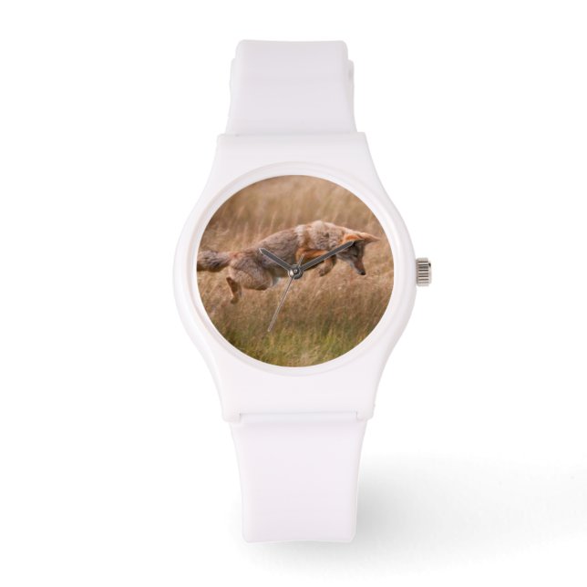 Reloj De Pulsera Salto de Coyote - Barrios Gibbon (Anverso)