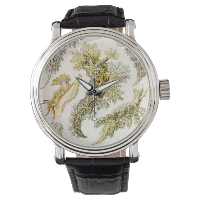 Reloj De Pulsera Saltos marinos por Ernst Haeckel, Nudibranchia vin (Anverso)