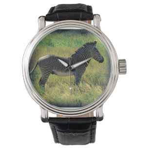 Reloj De Pulsera Samburu Zebra