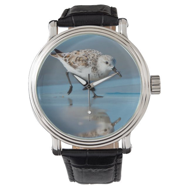 Reloj De Pulsera Sanderling (Calidris Albe) Alimentándose En Wet Be (Anverso)