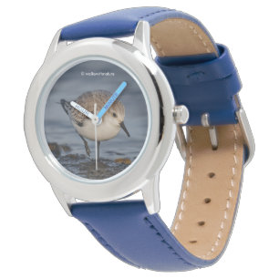 Reloj De Pulsera Sanderling pasea por una playa de invierno