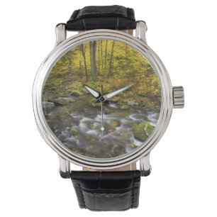 Reloj De Pulsera Sanderson Brook. Bosque Estatal Chester-Blanford.