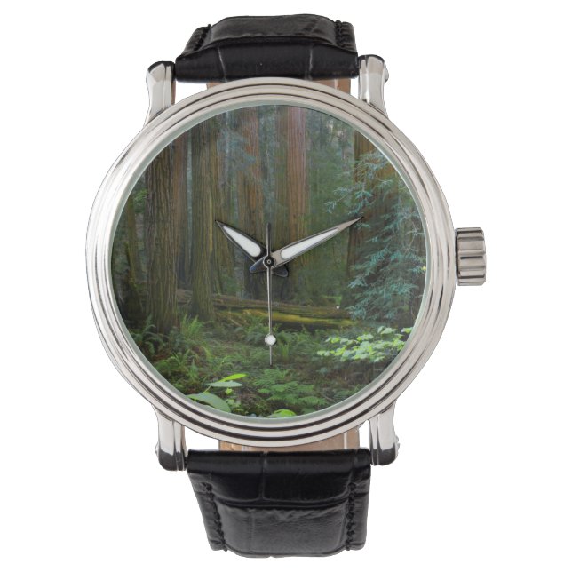 Reloj De Pulsera Secuoyas en el Parque Nacional Muir Woods (Anverso)