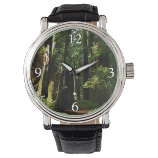 Reloj De Pulsera Secuoyas y helechos en el Parque Nacional Redwood