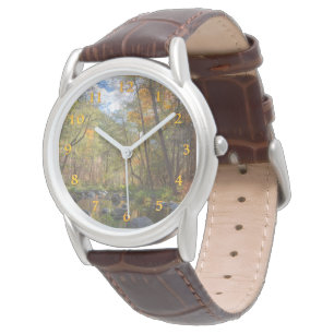 RELOJ DE PULSERA SEDONA ARIZONA TRANSMITIENDO OTRO DÍA