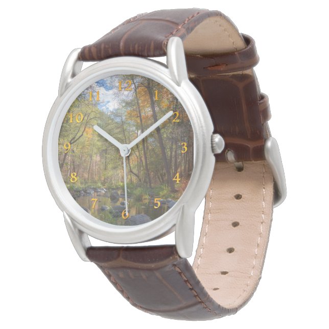 RELOJ DE PULSERA SEDONA ARIZONA TRANSMITIENDO OTRO DÍA (Angular)