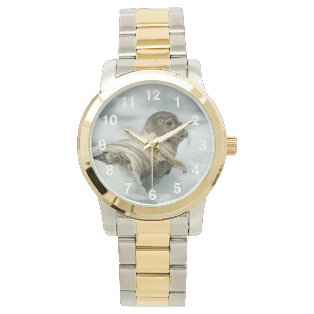 Reloj De Pulsera Sello de bebé dulce (Anverso)
