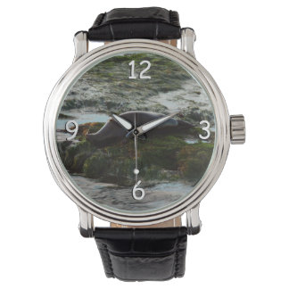 Reloj De Pulsera Sello de puerto de luz solar II en San Diego