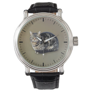 Reloj De Pulsera Sentada de gatos de tabla