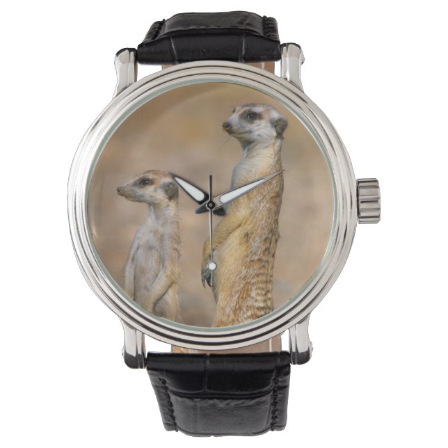 Reloj De Pulsera Sentinelas de suricata (Suricata suricatta), Karas (Anverso)