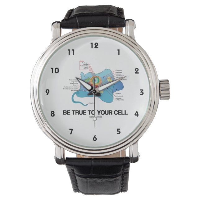 Reloj De Pulsera Ser Fiel A Su Celda (Self) Eukaryote (Anverso)