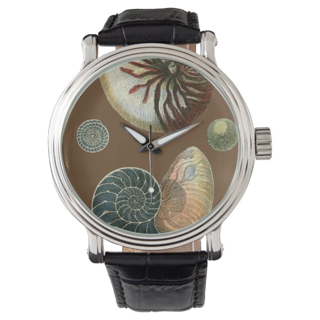Reloj De Pulsera Shell de cacao (Anverso)