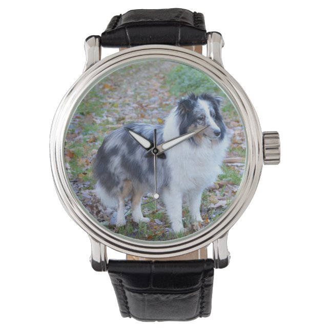Reloj De Pulsera Shetland Sheepdog Blue Merle (Anverso)