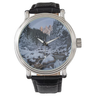 Reloj De Pulsera Sierra de Geisler cubierta de nieve