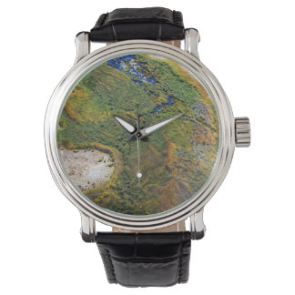 Reloj De Pulsera Simpsons Desert