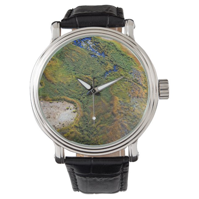 Reloj De Pulsera Simpsons Desert (Anverso)