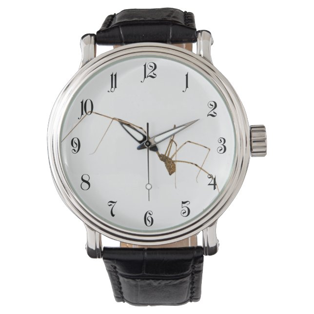 Reloj De Pulsera Spider (Anverso)
