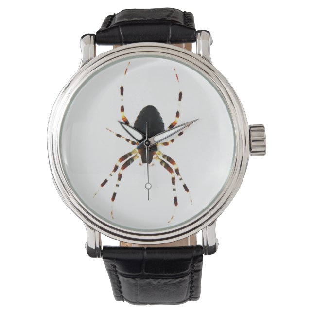 Reloj De Pulsera Spider wacna (Anverso)