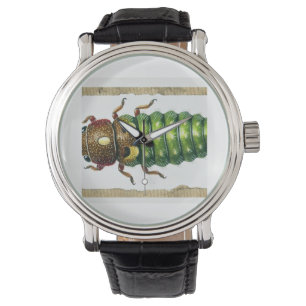 Reloj De Pulsera Spruce Budworm 080824IREF230 - Watercolor