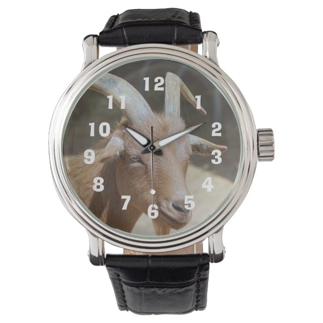 Reloj De Pulsera Sr. Bill (Anverso)