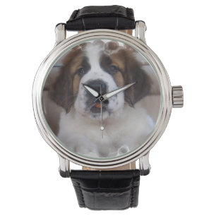 Reloj De Pulsera St Bernard
