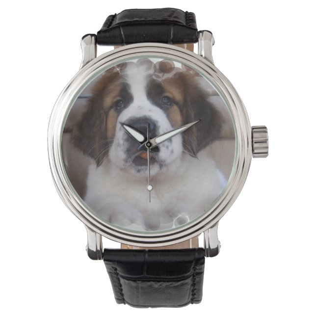 Reloj De Pulsera St Bernard (Anverso)