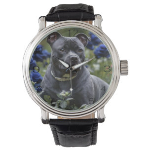 Reloj De Pulsera Staffordshire Bull Terrier In Blue Rosa Garden,