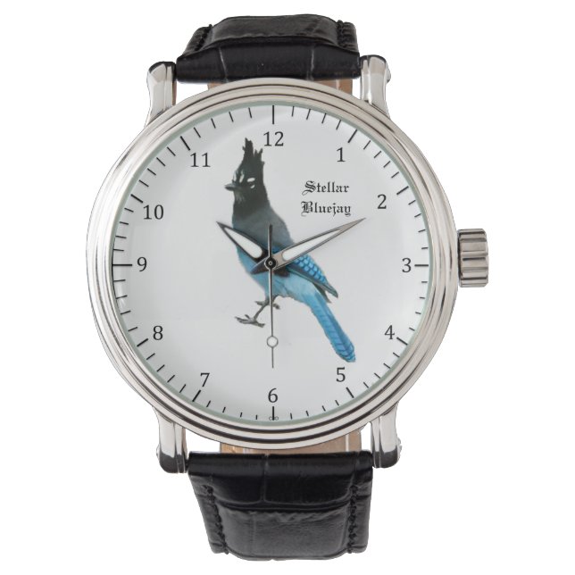 Reloj De Pulsera Stellar Blue Jay watch (Anverso)
