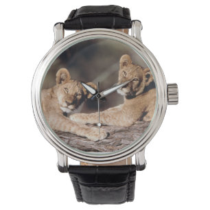 Reloj De Pulsera Sudáfrica, cachorros de león