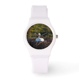 Reloj De Pulsera Swan en nido