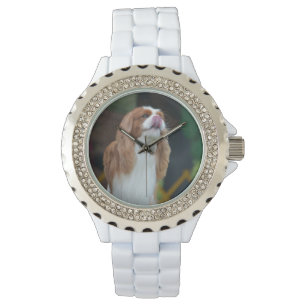 Reloj De Pulsera Sweet Cavalier King Charles Spaniel