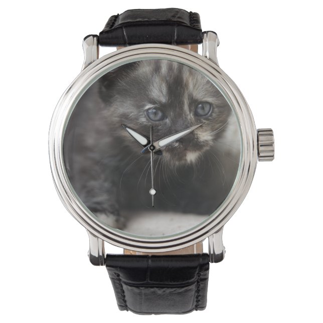 Reloj De Pulsera Sweet Shy Tortoiseshell Baby (Anverso)