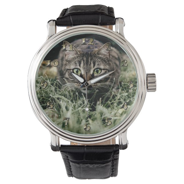 Reloj De Pulsera Tabby el gato doméstico (Anverso)