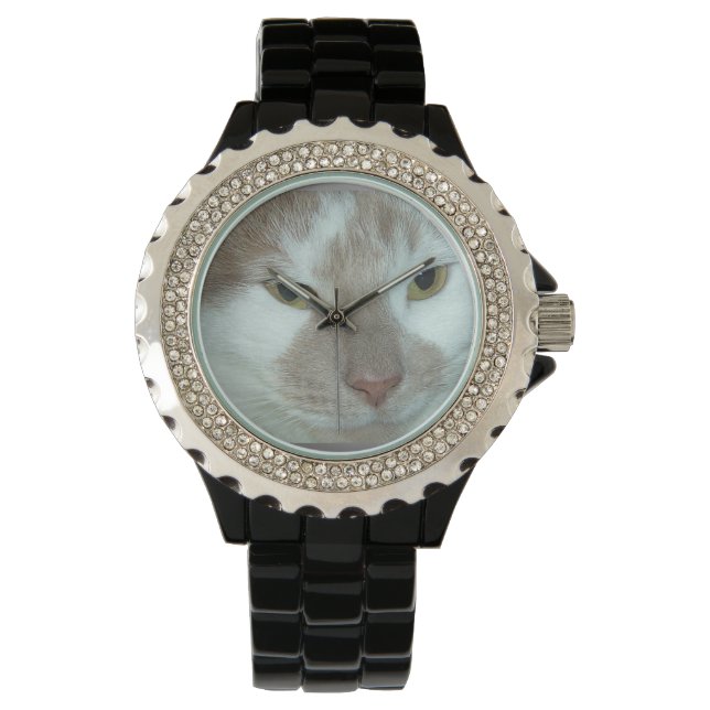 Reloj De Pulsera Tabby Kitty Cat (Anverso)