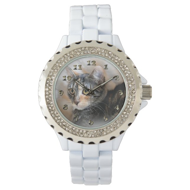 Reloj De Pulsera Tabby Kitty Cat Portrait (Anverso)