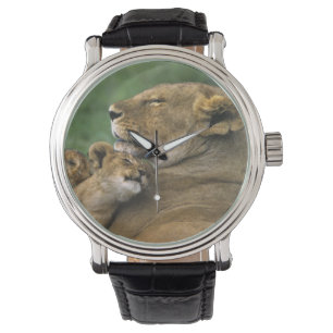 Reloj De Pulsera Tanzania, Cráter del Ngorongoro. Madre de un león 