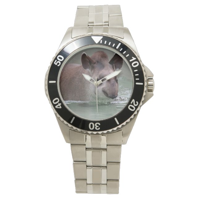Reloj De Pulsera Tapir_2015_0101 (Anverso)