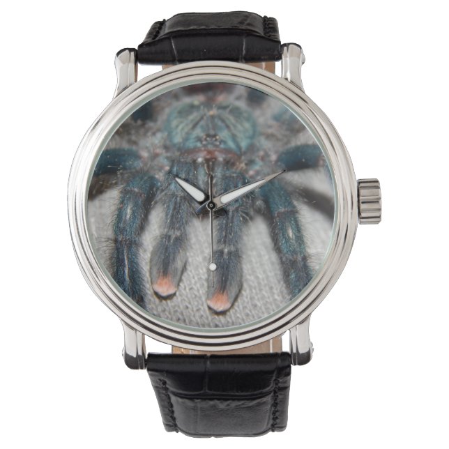 Reloj De Pulsera tarántula azul (Anverso)