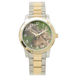 Reloj De Pulsera Tender Mother Moose