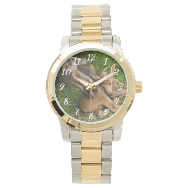 Reloj De Pulsera Tender Mother Moose (Anverso)